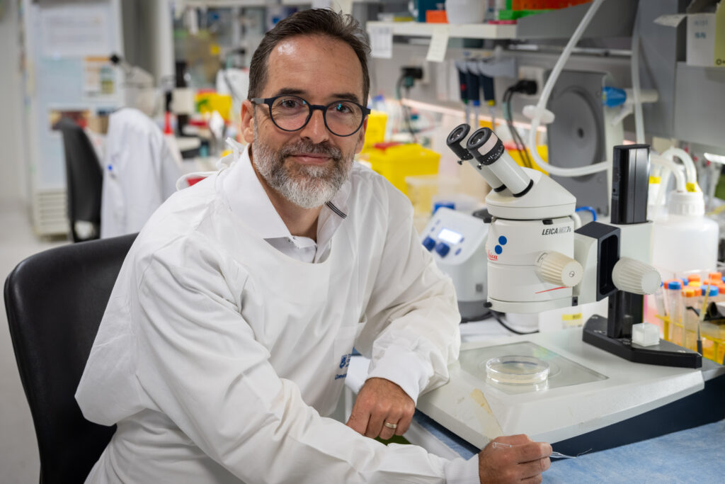 Dr Ramon Martinez-Marmol