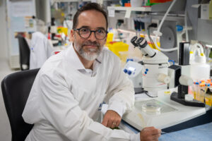 Dr Ramon Martinez-Marmol